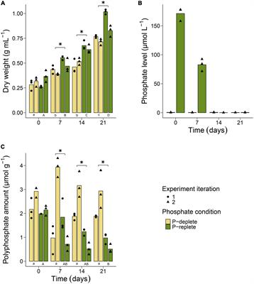 Acclimation of Nodularia spumigena CCY9414 to inorganic phosphate limitation – Identification of the P-limitation stimulon via RNA-seq